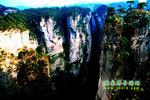 【純玩拼團(tuán)線路6】張家界、黃龍洞、天門山、天子山三晚四日游