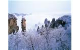 春節(jié)旅游：張家界、袁家界、天子山、寶峰湖/黃龍洞度假二晚三日游
